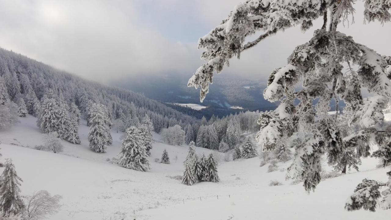 Au Chalet De Jo Muhlbach-sur-Munster エクステリア 写真