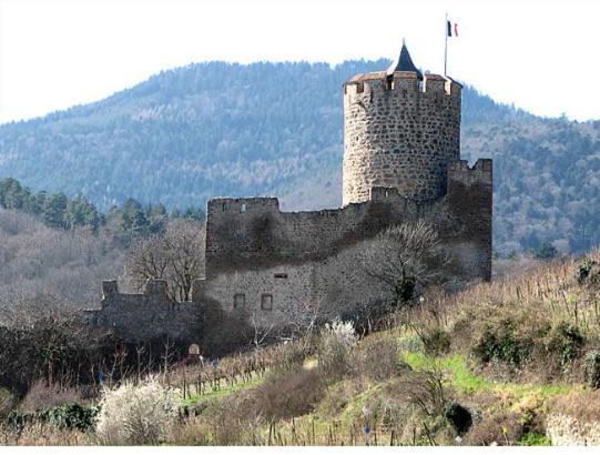 Au Chalet De Jo Muhlbach-sur-Munster エクステリア 写真
