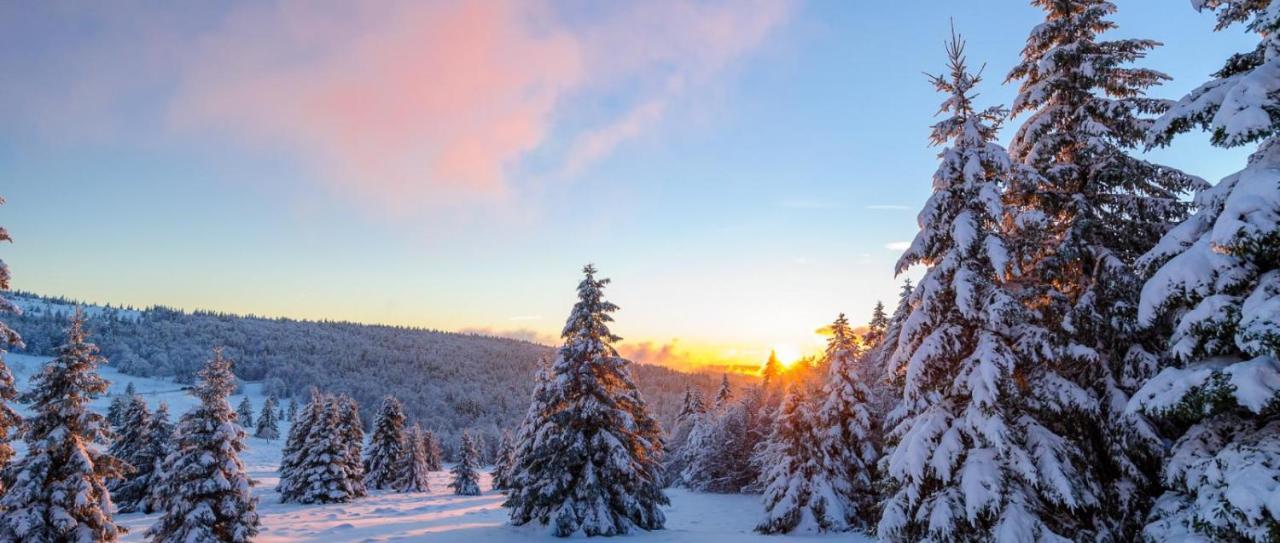 Au Chalet De Jo Muhlbach-sur-Munster エクステリア 写真