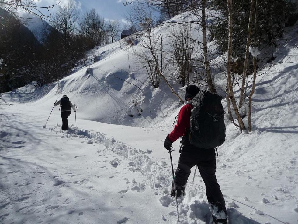 Au Chalet De Jo Muhlbach-sur-Munster エクステリア 写真