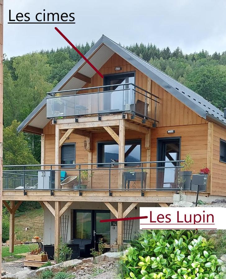 Au Chalet De Jo Muhlbach-sur-Munster エクステリア 写真