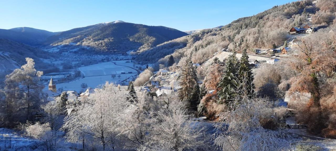 Au Chalet De Jo Muhlbach-sur-Munster エクステリア 写真