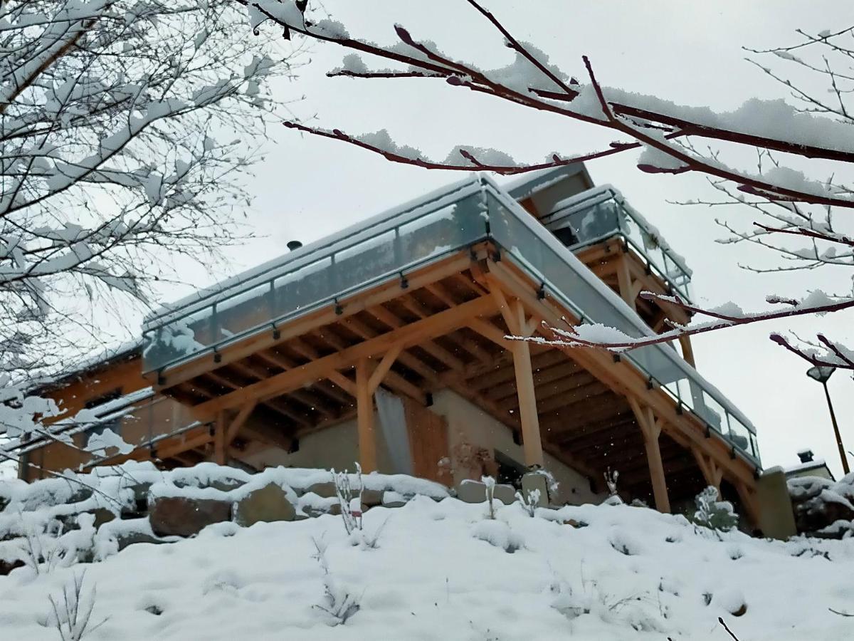 Au Chalet De Jo Muhlbach-sur-Munster エクステリア 写真