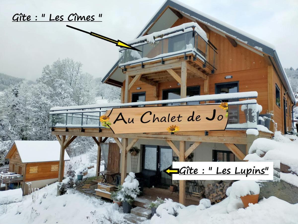 Au Chalet De Jo Muhlbach-sur-Munster エクステリア 写真