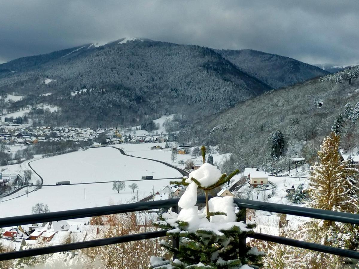 Au Chalet De Jo Muhlbach-sur-Munster エクステリア 写真